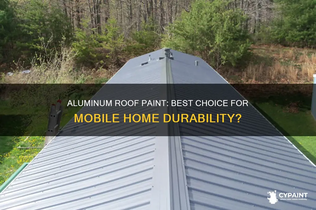 should i paint mobile home roof aluminumm or
