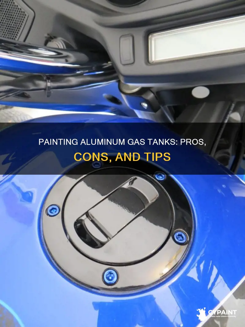 should i paint my aluminum under bed gas tank