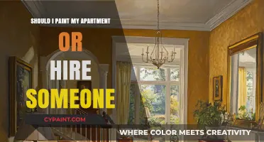DIY or Hire a Pro? Deciding Who Should Paint Your Apartment