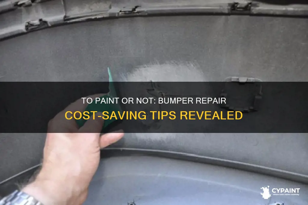 should i paint my bumper or save money