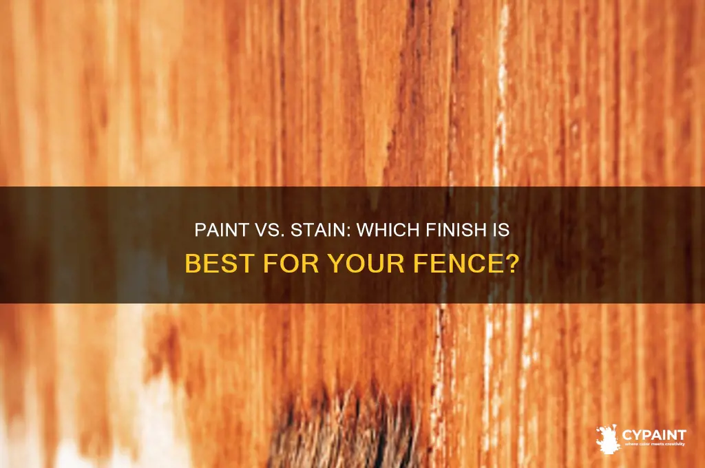 should i paint my fence or stain it