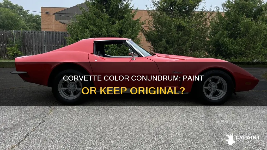 should i paint my frame on my 73 corvette