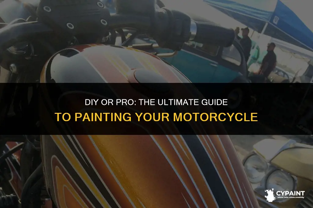 should i paint my motorcycle myself or hire a professional