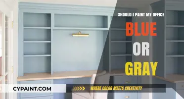 Blue or Gray: Choosing the Perfect Office Paint Color for Productivity
