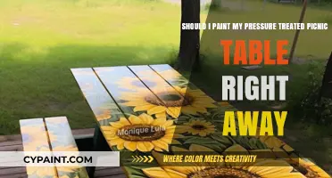 Freshening Up Your Picnic Table: To Paint or Not to Paint?