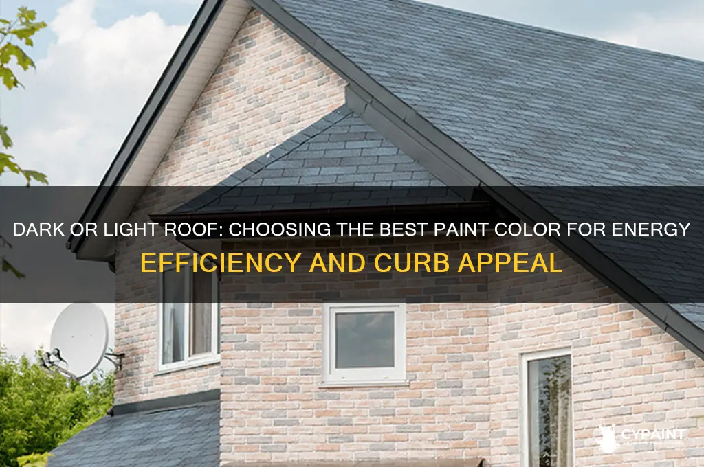should i paint my roof dark or light