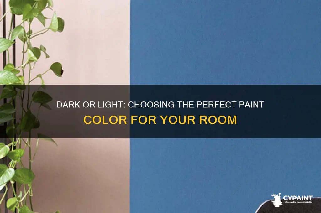 Dark Or Light: Choosing The Perfect Paint Color For Your Room | CyPaint