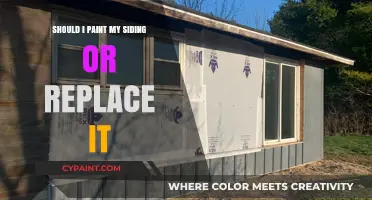 Paint or Replace Siding: Cost-Effective Solutions for Your Home's Exterior