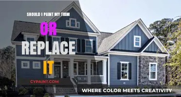 Paint or Replace Trim: Cost-Effective Solutions for a Fresh Home Look