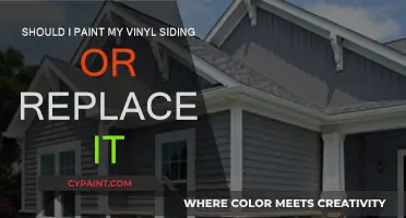 Vinyl Siding: Paint or Replace?