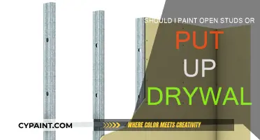 Drywall or Open Studs: Which Wall Finish is Best?
