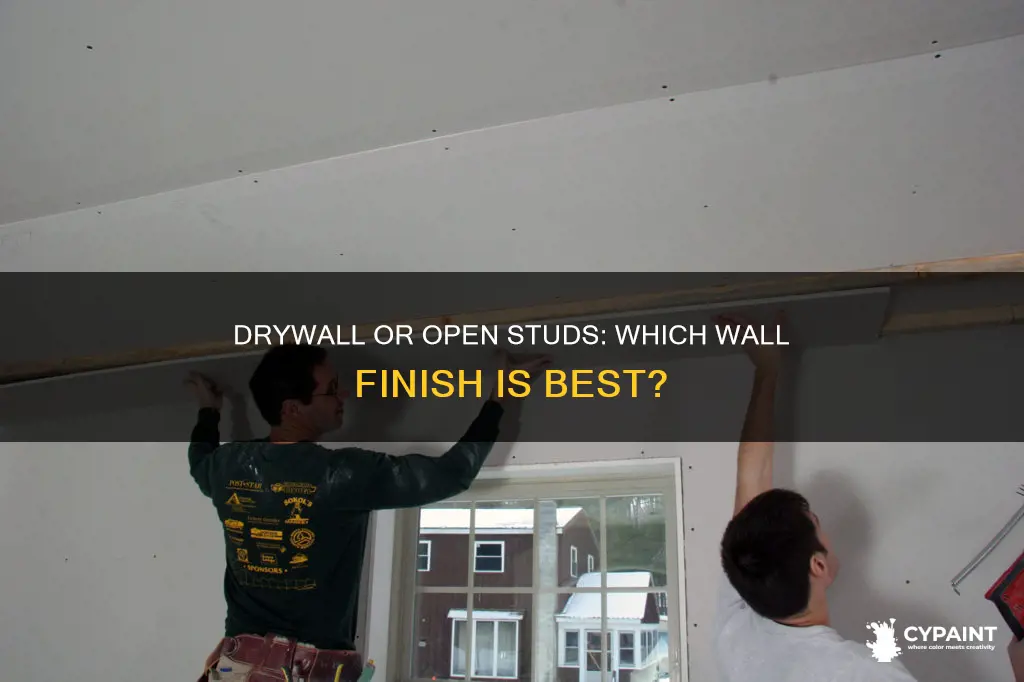 should i paint open studs or put up drywall