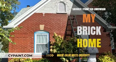 Paint vs. Limewash: Transforming Your Brick Home's Exterior