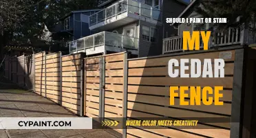 Paint vs. Stain: Choosing the Best Finish for Your Cedar Fence