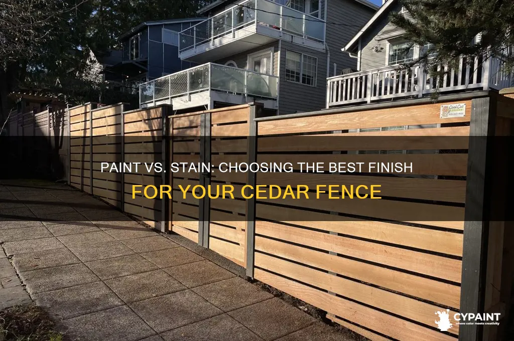 should i paint or stain my cedar fence
