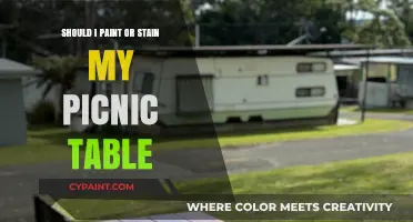 Paint or Stain: Best Finish for Your Picnic Table?