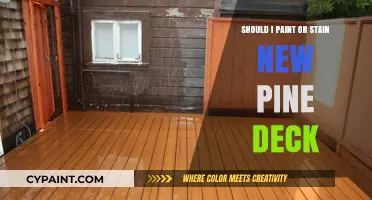 Paint or Stain: Best Finish for Your New Pine Deck?