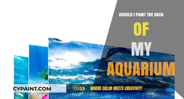 To Paint or Not: The Back of Your Aquarium Dilemma