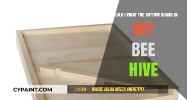 Enhancing Your Bee Hive: The Bottom Board Painting Dilemma
