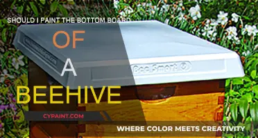 The Best Way to Paint Your Beehive's Bottom Board