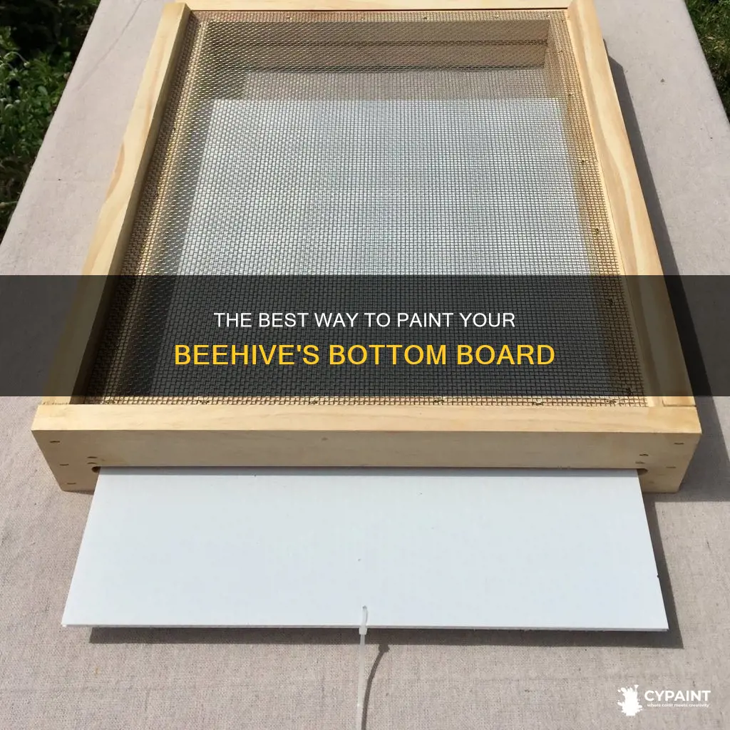 should i paint the bottom board of a beehive