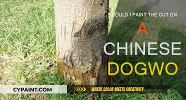 Painting Cuts: Chinese Dogwood Care Tips