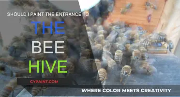 Painting the Bee Hive Entrance: Pros and Cons