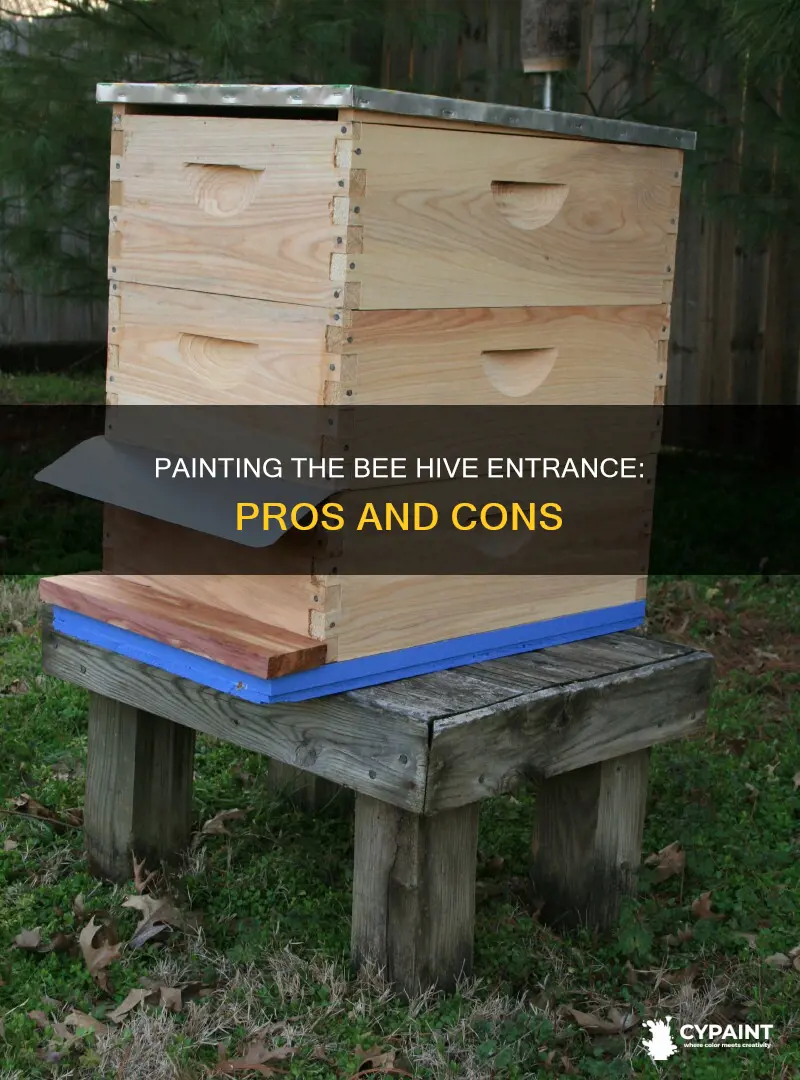 should i paint the entrance to the bee hive