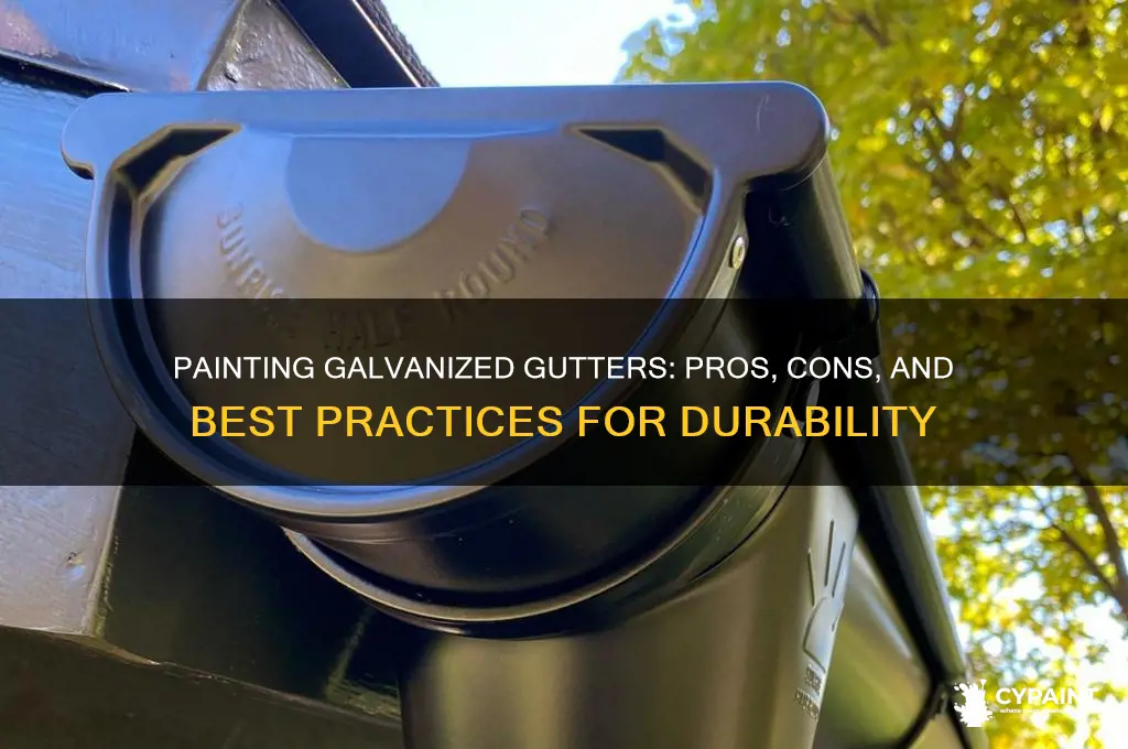 should i paint the inside of galvanized gutters