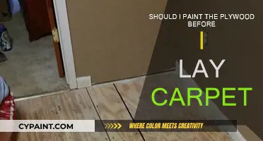 Plywood Painting Prior to Carpet Laying: A Smart Move?