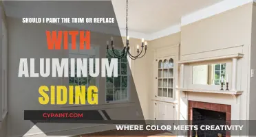Revamping Your Home's Exterior: Trim Painting vs. Aluminum Siding