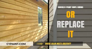 Paint or Replace Vinyl Siding: Cost-Effective Solutions for Your Home