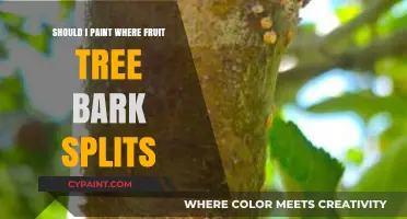 Should You Paint Fruit Tree Bark Splits? Expert Advice