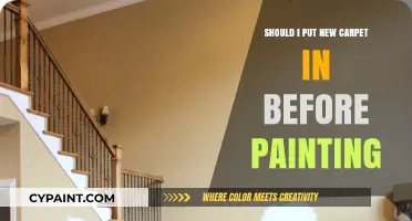 Carpet First or Paint? Timing Tips for Home Renovations