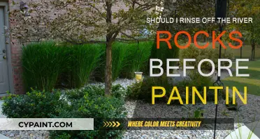 Rinsing River Rocks: A Must Before Painting?