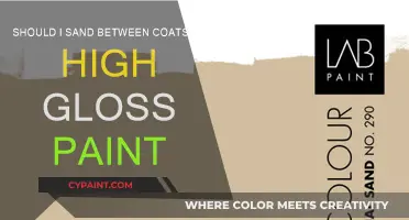 Sanding High-Gloss Paint: To Sand or Not to Sand?