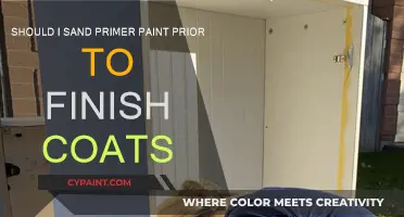 Primer Paint: Sanding Before Finish Coats?