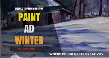 Is Investing in Paint Ads Worth It This Winter Season?