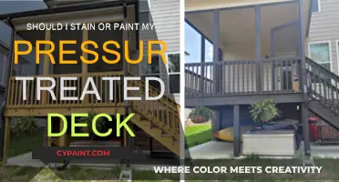 Staining vs Painting: What's Best for Your Treated Deck?