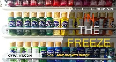 Freezer Paint Storage: Pros and Cons