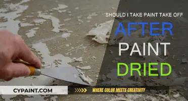 How to Remove Dried Paint: Paint Take Off Guide