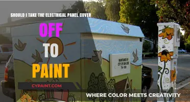 Uncovering the Truth: To Paint or Not to Paint Your Electrical Panel Cover