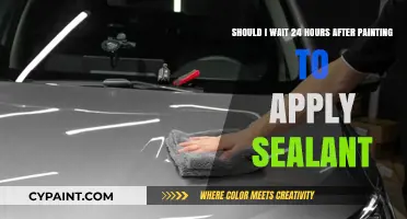Mastering the Art of Paint Care: Sealant Application Timing