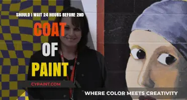 Mastering Paint Application: The 24-Hour Rule for Perfect Results