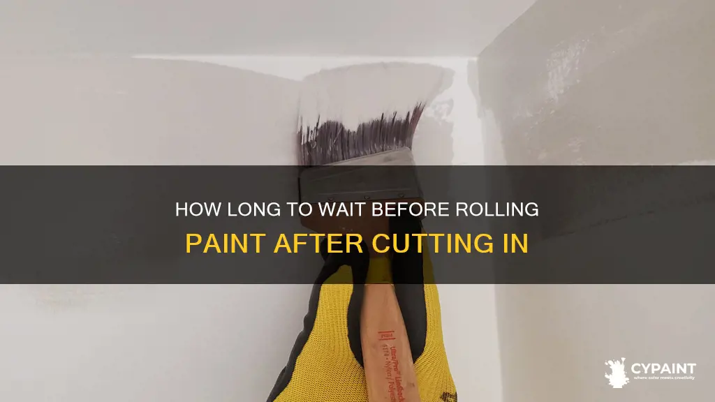 should i wait after cut in to roll paint