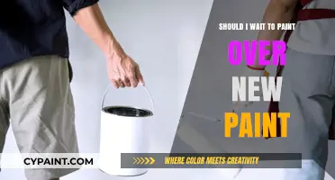 Should You Wait to Paint Over New Paint? Expert Tips