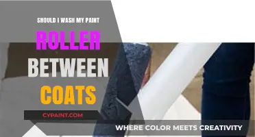 Should You Wash Paint Rollers Between Coats? Expert Tips Revealed