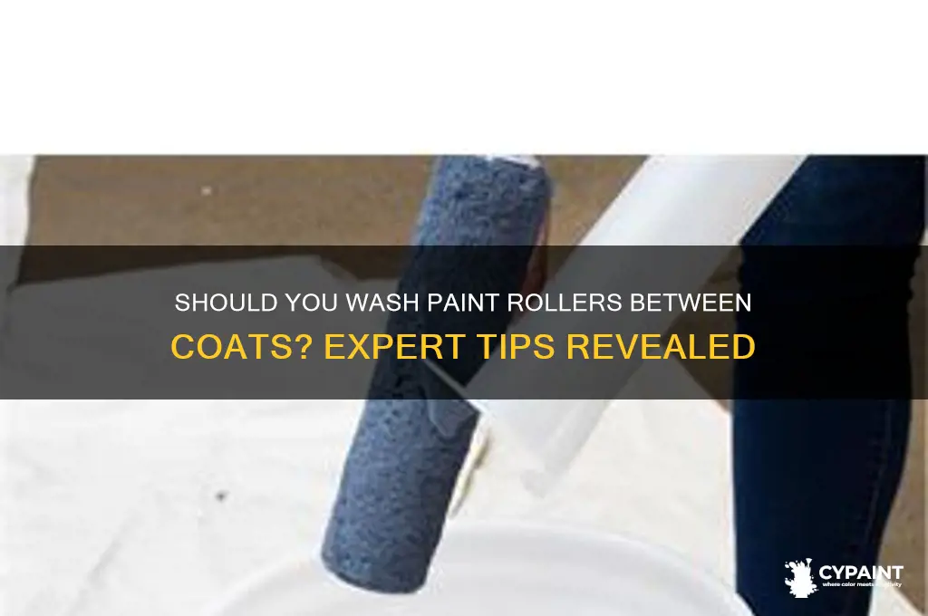 should i wash my paint roller between coats