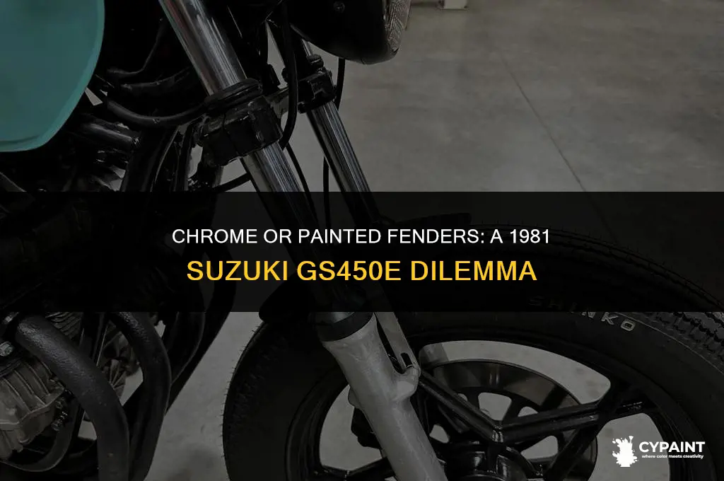 should my 1981 suzuki gs450e have chrome or painted fenders