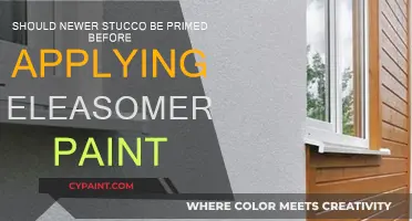 Stucco and Paint: Prime for Success?